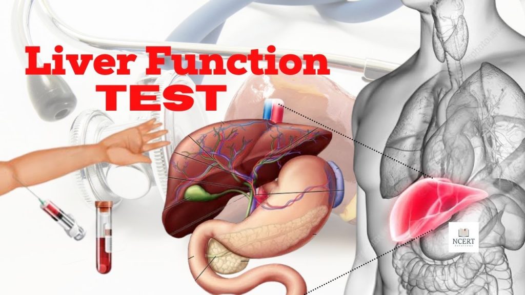 liver function test